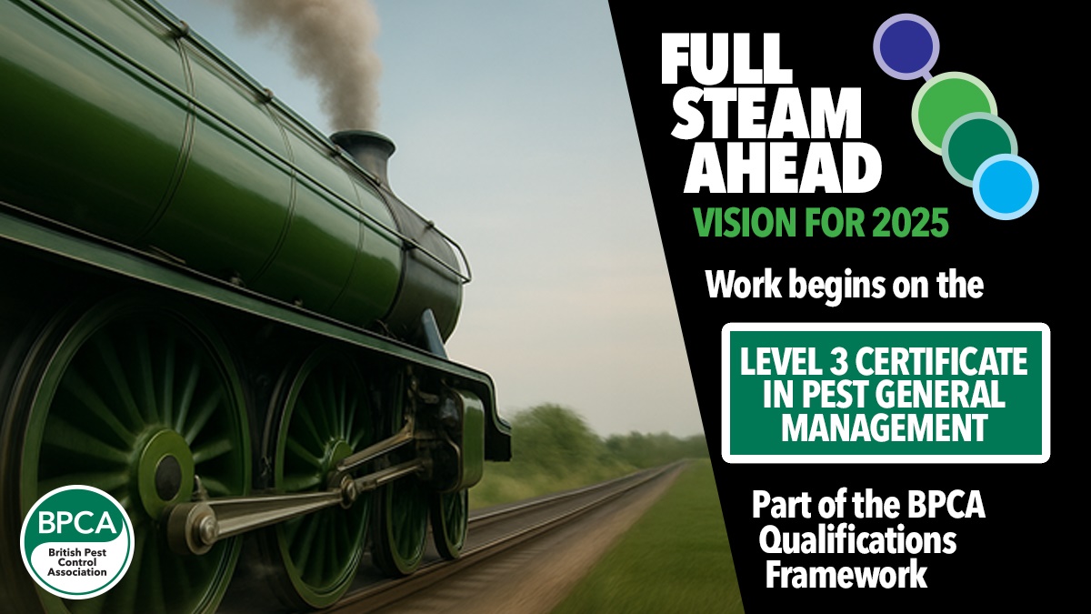 full steam ahead hero full steam ahead hero
